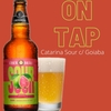 Catarina Sour c/Goiaba