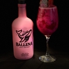 Balena Beach